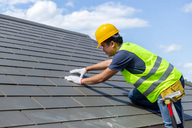 Best Roof Gutter Cleaning  in Iowa City, IA
