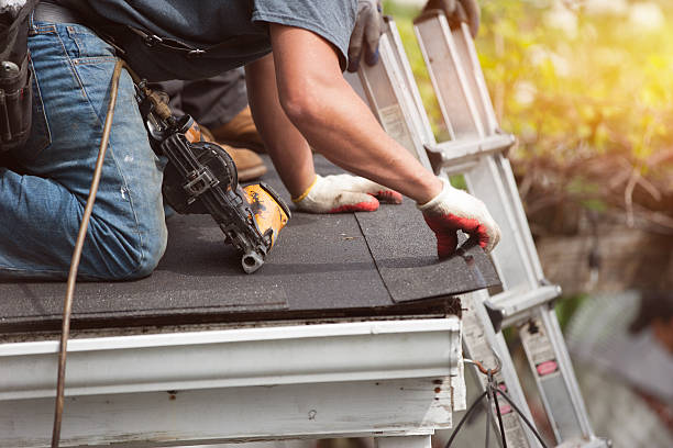 Best Roof Gutter Cleaning  in Iowa City, IA
