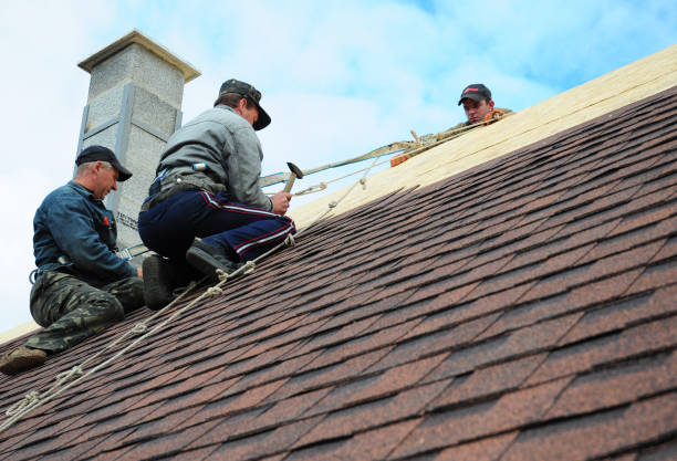 Best Roofing Contractor Near Me  in Iowa City, IA